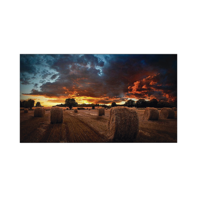 [N4-VM55BU-205667] Pantalla Profesional LED de 55" para Video Wall, Full HD (1080p), HDMI/DVI-D/DP, Bisel Ultra Delgado de 2.3mm. Compatible VESA