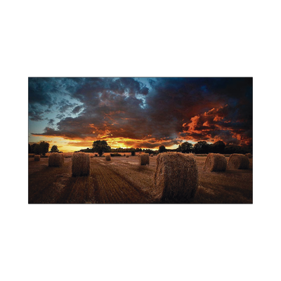 [N4-VM46BU-205668] Pantalla Profesional de 46" para Video Wall, Full HD (1080p), HDMI/DVI-D, Bisel Ultra Delgado de 2.25mm. Compatible VESA