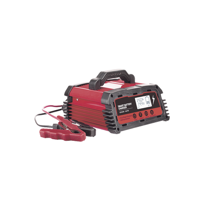 [N4-CHR-250-210900] Cargador de Baterías / 12 o 24 Vcc / hasta 250 Ah / 25 A / Display LCD